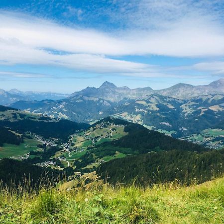 Le Nantoran Apartamento Praz-sur-Arly Exterior foto